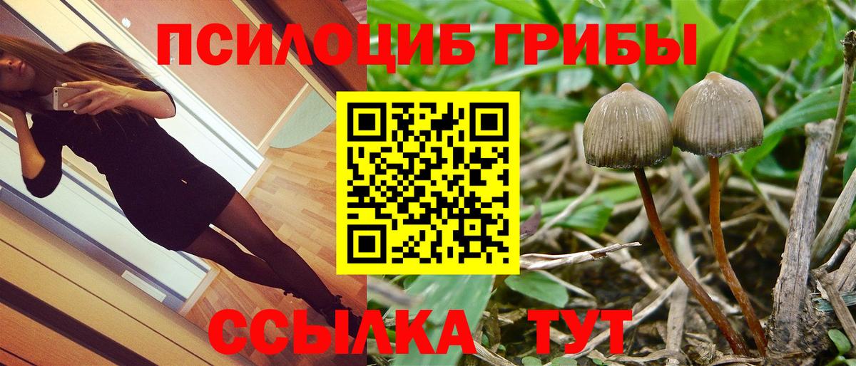 Псилоцибиновые грибы ЛСД  Вход с VPN  сколько стоит  Долгопрудный 